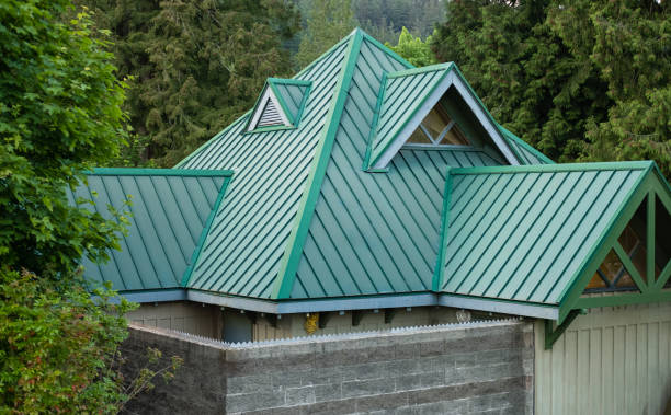 Best Roof Maintenance and Cleaning  in St Joseph, IL