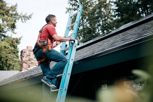 Best Roof Coating and Sealing  in St Joseph, IL